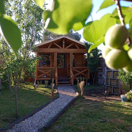 Foresta Acantilados, Casa Container Y Cabana De Troncos Мар-дель-Плата Экстерьер фото