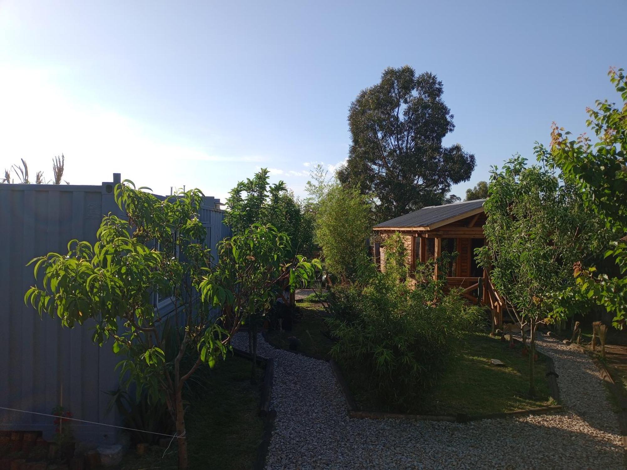 Foresta Acantilados, Casa Container Y Cabana De Troncos Мар-дель-Плата Экстерьер фото