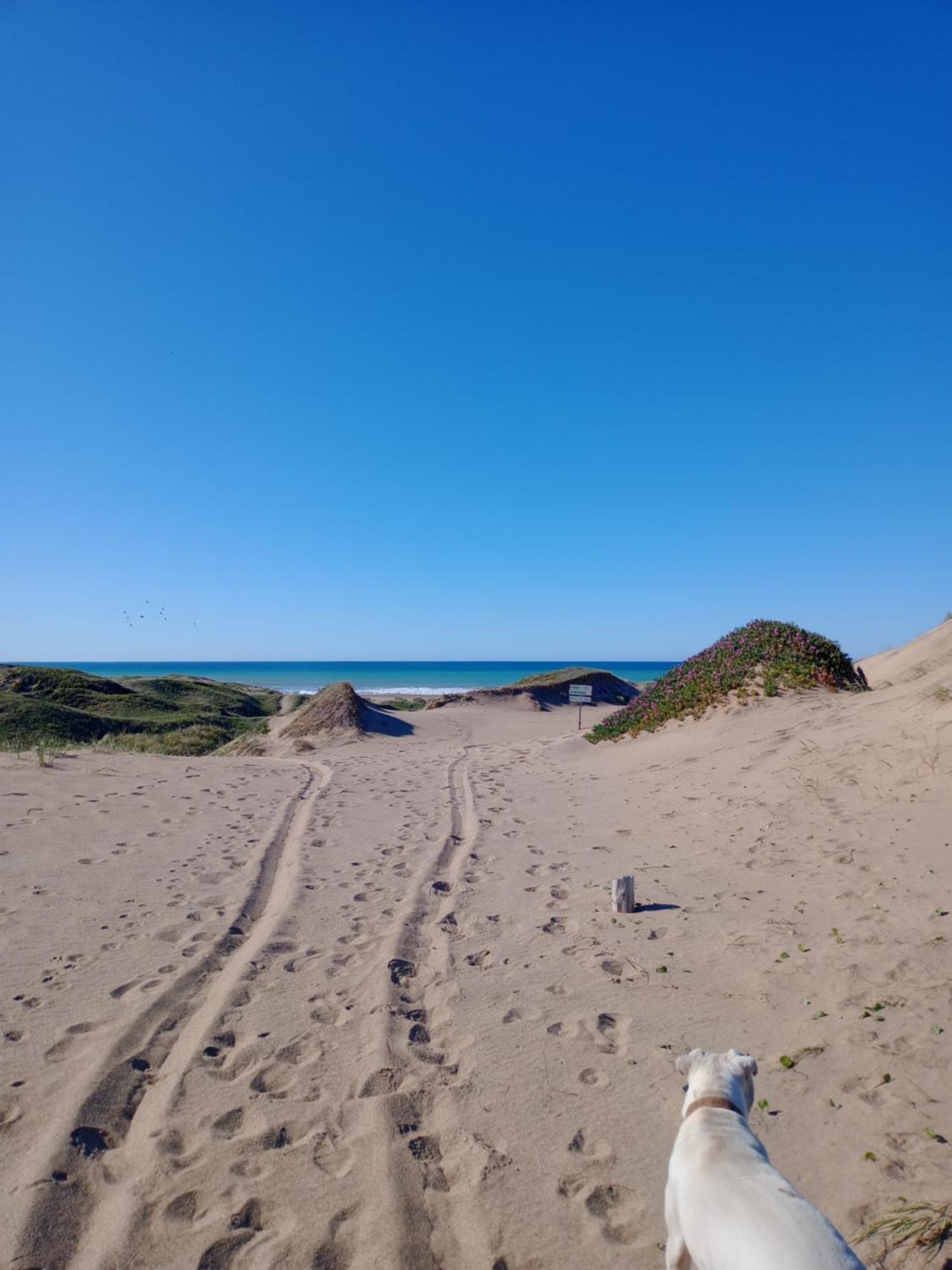 Foresta Acantilados, Casa Container Y Cabana De Troncos Мар-дель-Плата Экстерьер фото