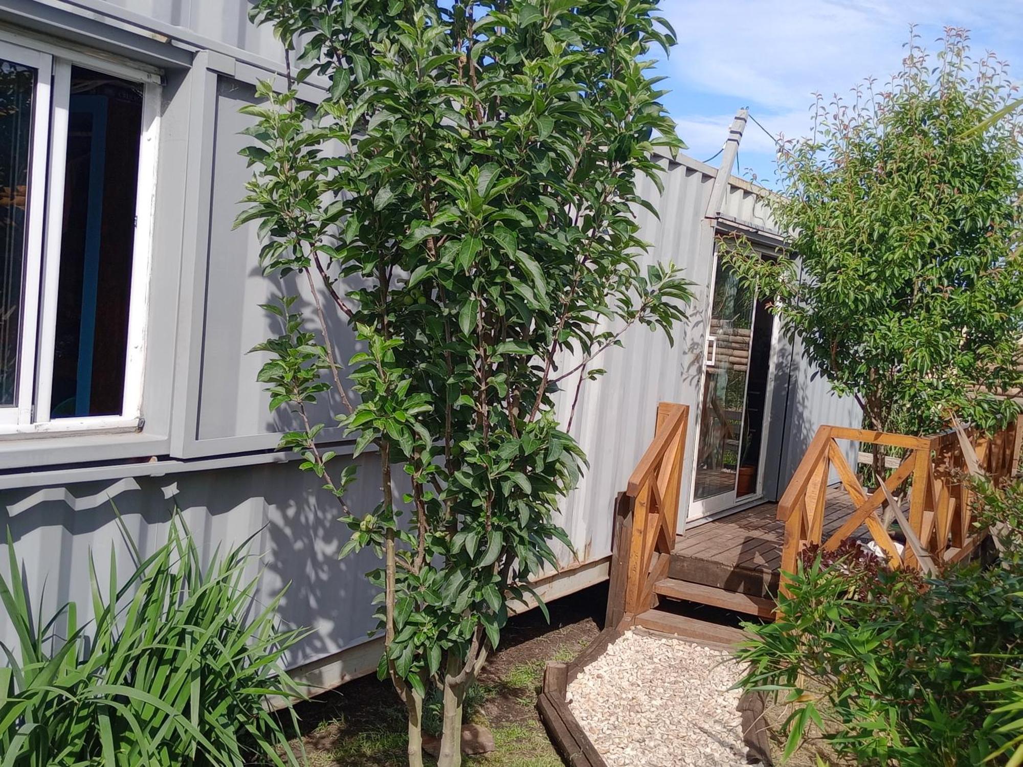 Foresta Acantilados, Casa Container Y Cabana De Troncos Мар-дель-Плата Экстерьер фото